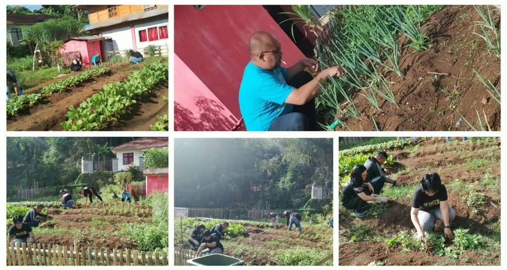 Gerakan Menanam & Kebun Pertanian Sayur Mandiri Warga